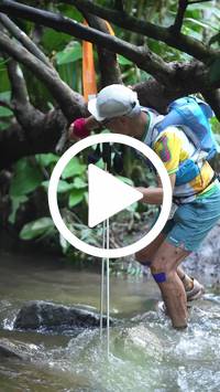 BIB:  <button type="button" onclick="openModal(27476112)" class="btn btn-primary btn-sm float-right" data-toggle="modal" data-target=".modal-high-quality">
                <i class="fa fa-download"></i> Download
                </button>